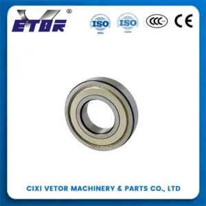 Ball bearing 6207 ZZ