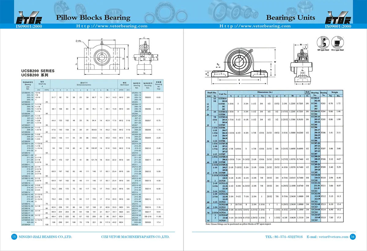 Pillow Block Bearing (2)