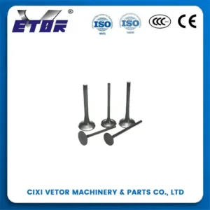 125 motorcycle valve