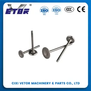 CG125 motorcycle valve