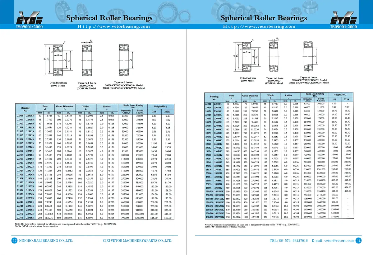 Spherical Roller Bearing (1)