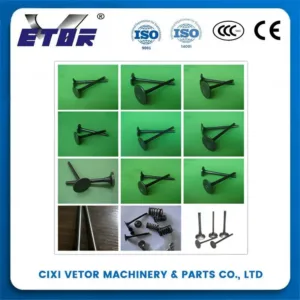 GL-125 motorcycle valve