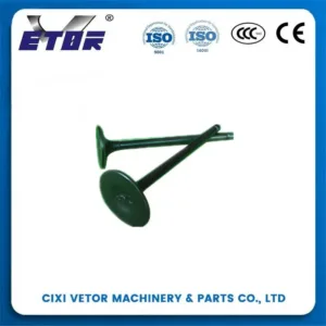 CG-150 motorcycle valve-1-1